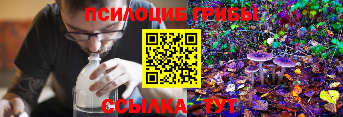 Галлюциногенные грибы GOLDEN TEACHER  Псилоцибиновые грибы Psilocybine cubensis  Нефтекамск  Вход с VPN 